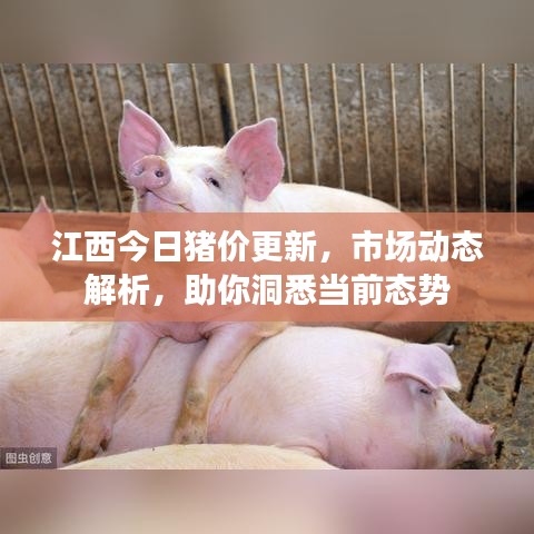 江西今日猪价更新，市场动态解析，助你洞悉当前态势