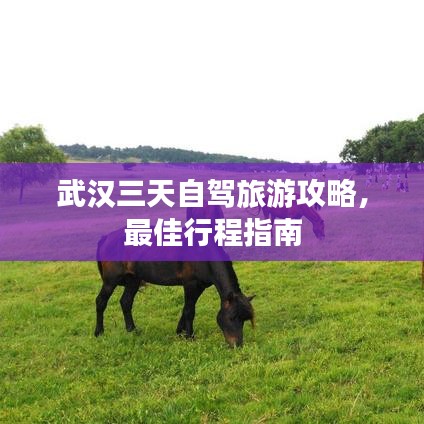 武汉三天自驾旅游攻略，最佳行程指南