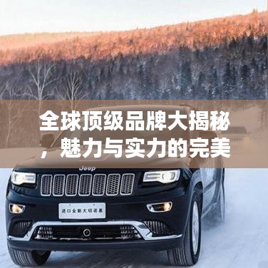 全球顶级品牌大揭秘，魅力与实力的完美排名榜单！