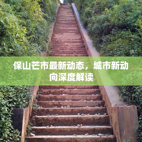 保山芒市最新动态，城市新动向深度解读