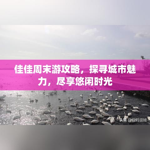 佳佳周末游攻略，探寻城市魅力，尽享悠闲时光