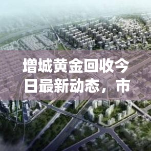 增城黄金回收今日最新动态，市场走势深度分析与预测
