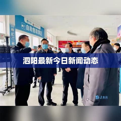 泗阳最新今日新闻动态