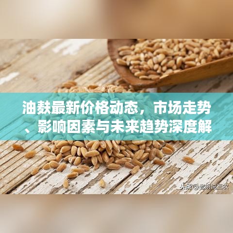 油麸最新价格动态，市场走势、影响因素与未来趋势深度解析