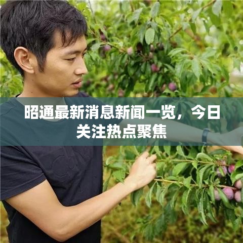 昭通最新消息新闻一览，今日关注热点聚焦