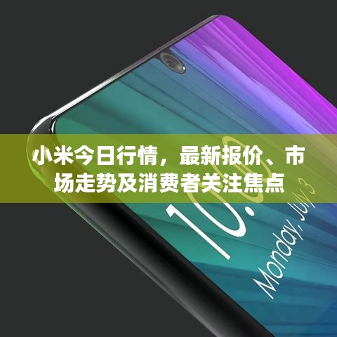 小米今日行情，最新报价、市场走势及消费者关注焦点