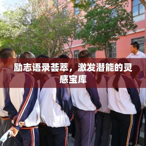 励志语录荟萃，激发潜能的灵感宝库