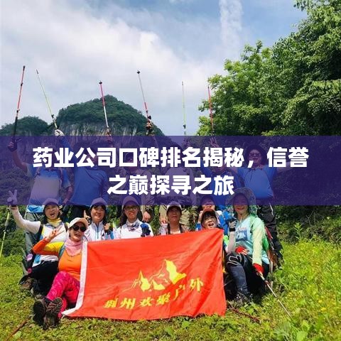 药业公司口碑排名揭秘，信誉之巅探寻之旅