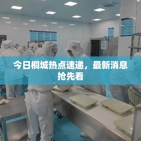 今日桐城热点速递，最新消息抢先看