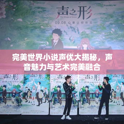 完美世界小说声优大揭秘，声音魅力与艺术完美融合