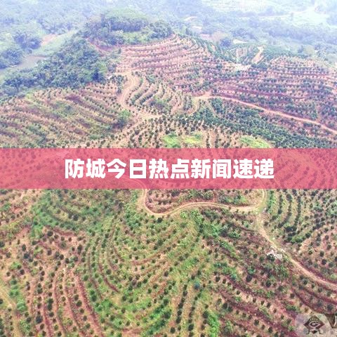 防城今日热点新闻速递