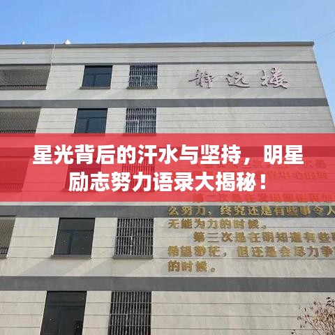 星光背后的汗水与坚持，明星励志努力语录大揭秘！