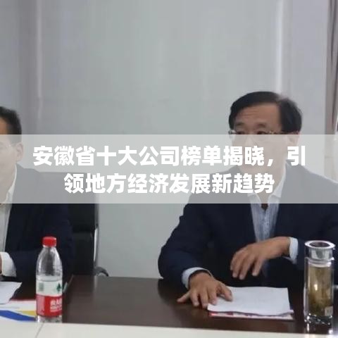 安徽省十大公司榜单揭晓，引领地方经济发展新趋势