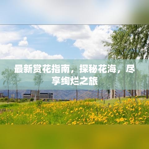最新赏花指南，探秘花海，尽享绚烂之旅