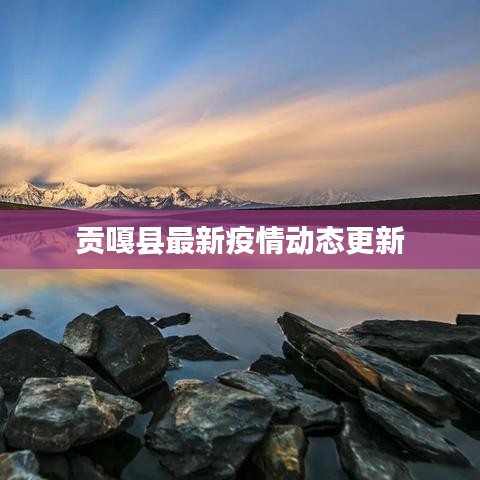 贡嘎县最新疫情动态更新