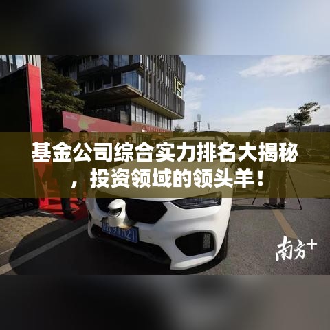 基金公司综合实力排名大揭秘，投资领域的领头羊！
