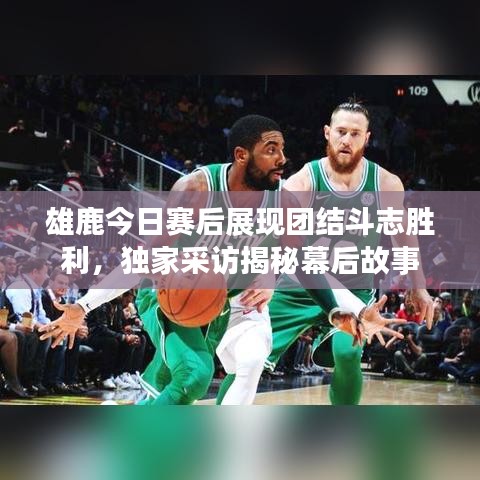 雄鹿今日赛后展现团结斗志胜利，独家采访揭秘幕后故事