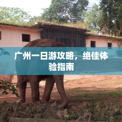 广州一日游攻略，绝佳体验指南
