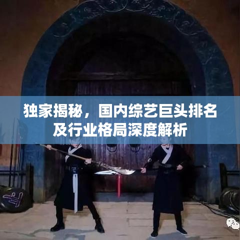 独家揭秘，国内综艺巨头排名及行业格局深度解析