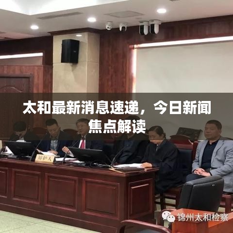太和最新消息速递，今日新闻焦点解读