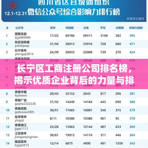 长宁区工商注册公司排名榜，揭示优质企业背后的力量与排名榜单