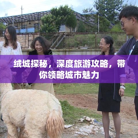 绒城探秘，深度旅游攻略，带你领略城市魅力