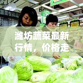 潍坊蔬菜最新行情，价格走势、市场分析及影响因素探讨