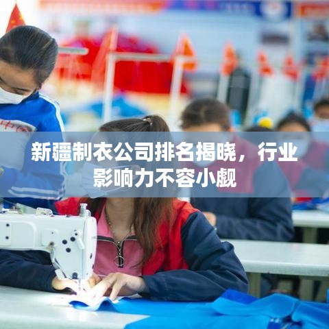 新疆制衣公司排名揭晓，行业影响力不容小觑