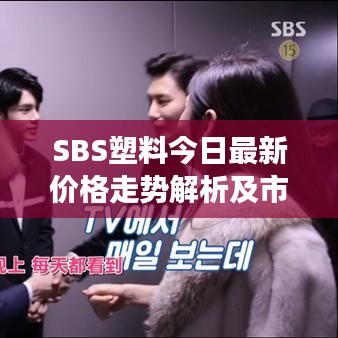 SBS塑料今日最新价格走势解析及市场趋势预测