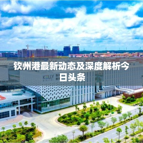 钦州港最新动态及深度解析今日头条