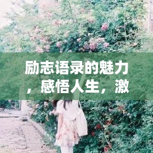 励志语录的魅力，感悟人生，激励前行！