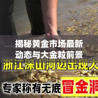 揭秘黄金市场最新动态与大金粒前景展望今日消息！