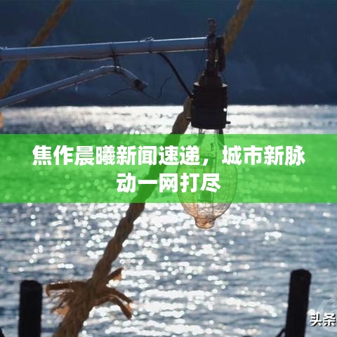 焦作晨曦新闻速递，城市新脉动一网打尽