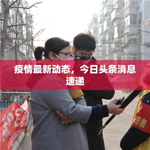 疫情最新动态，今日头条消息速递