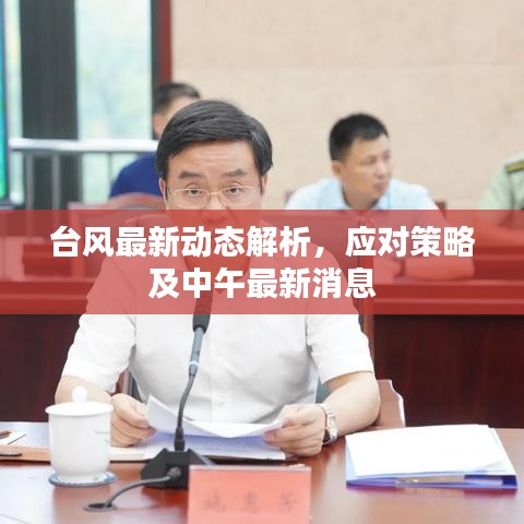 台风最新动态解析，应对策略及中午最新消息