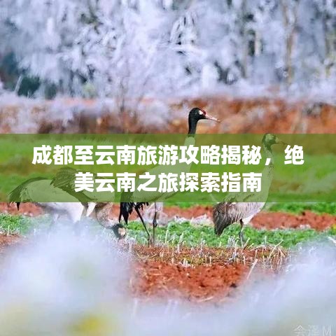 成都至云南旅游攻略揭秘，绝美云南之旅探索指南