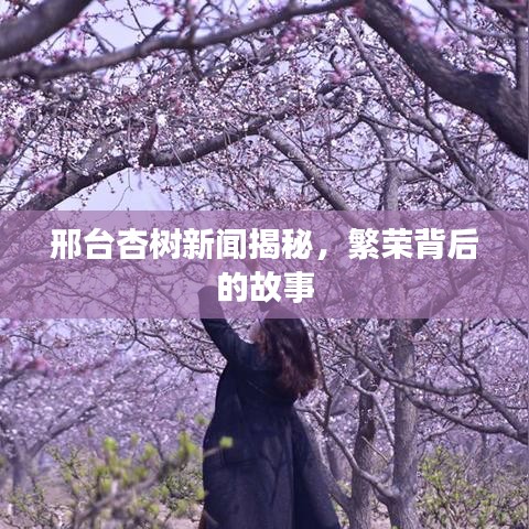 邢台杏树新闻揭秘，繁荣背后的故事