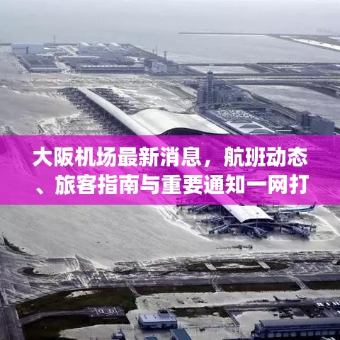 大阪机场最新消息，航班动态、旅客指南与重要通知一网打尽