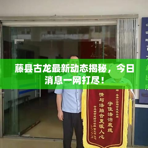 藤县古龙最新动态揭秘，今日消息一网打尽！