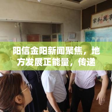 阳信金阳新闻聚焦，地方发展正能量，传递最新头条信息