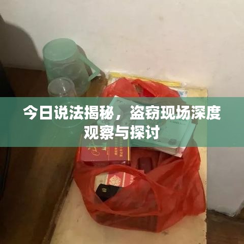 今日说法揭秘，盗窃现场深度观察与探讨