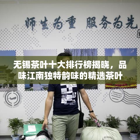 无锡茶叶十大排行榜揭晓，品味江南独特韵味的精选茶叶