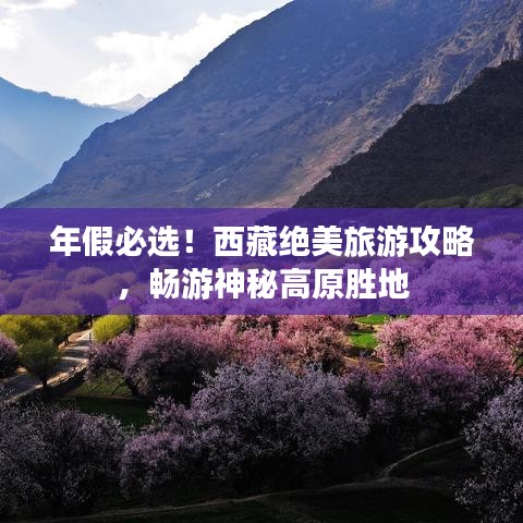 年假必选！西藏绝美旅游攻略，畅游神秘高原胜地