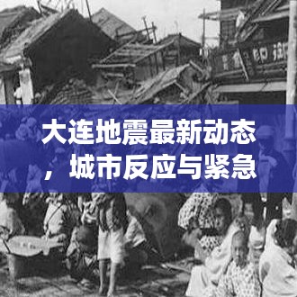 大连地震最新动态，城市反应与紧急应对措施
