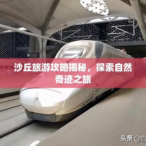 沙丘旅游攻略揭秘，探索自然奇迹之旅