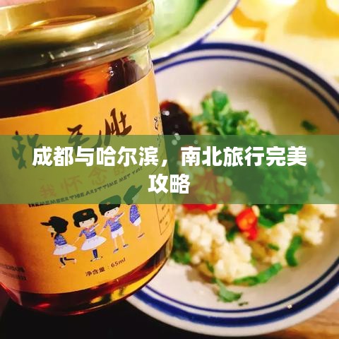 成都与哈尔滨，南北旅行完美攻略