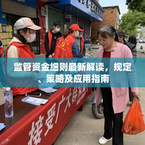 监管资金细则最新解读，规定、策略及应用指南