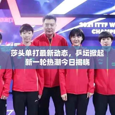 莎头单打最新动态，乒坛掀起新一轮热潮今日揭晓