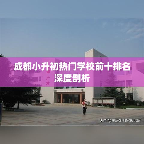 成都小升初热门学校前十排名深度剖析