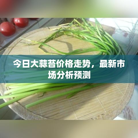 今日大蒜苔价格走势，最新市场分析预测